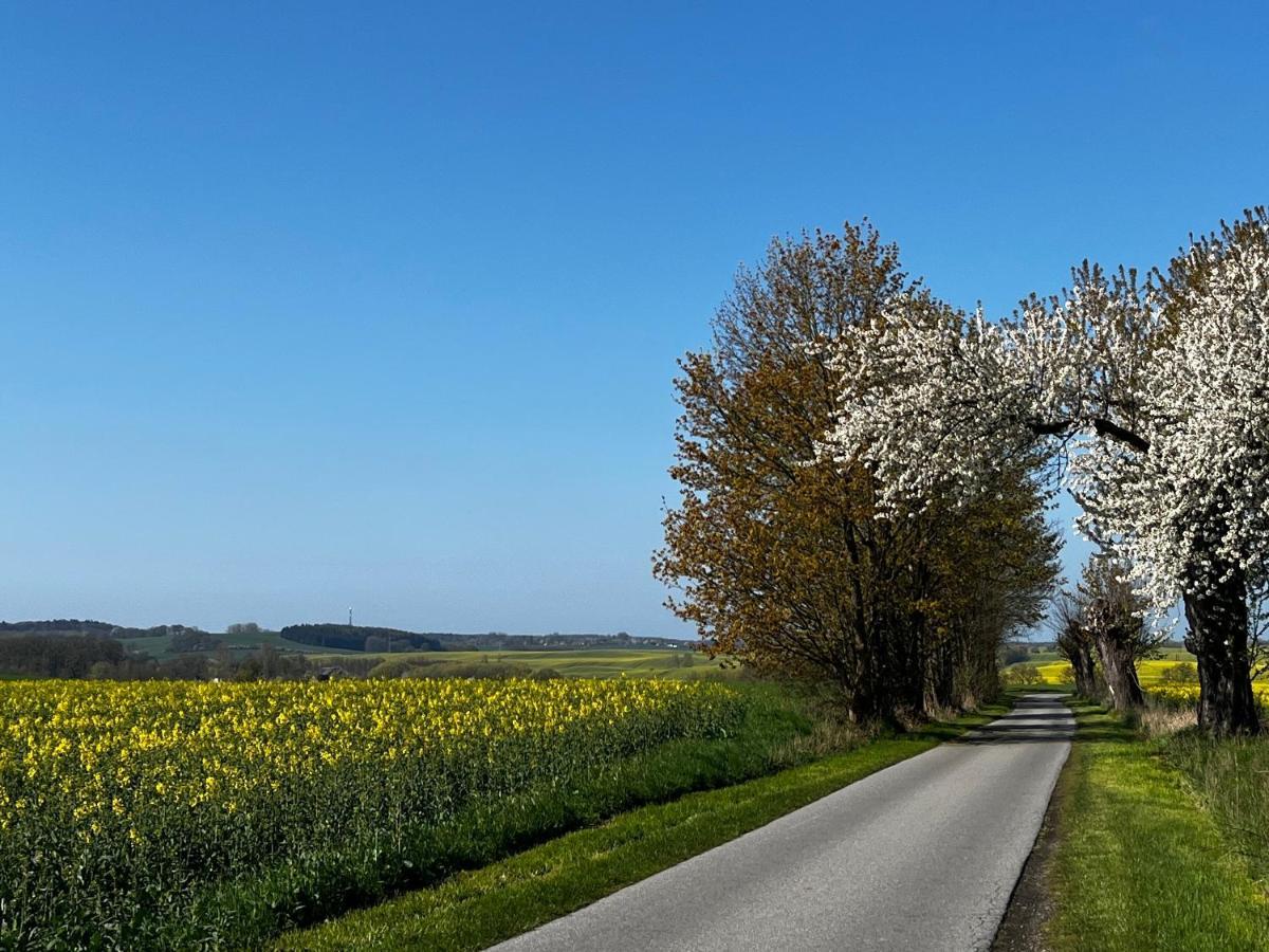 Gut Manderow An Der Ostsee Hohenkirchen  Экстерьер фото