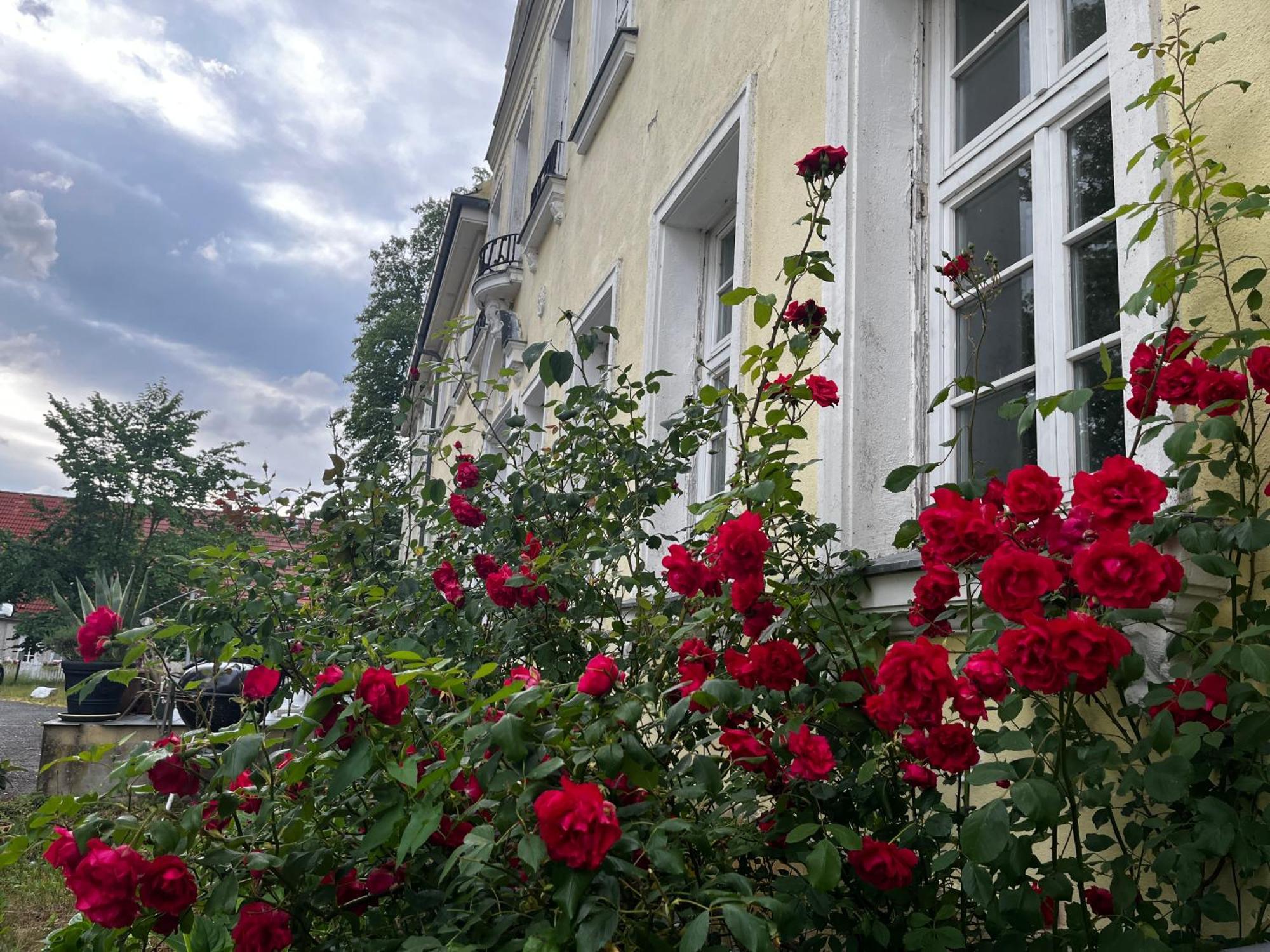 Gut Manderow An Der Ostsee Hohenkirchen  Экстерьер фото